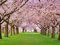 -西山漾湿地公园