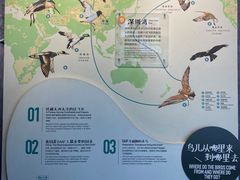 -福田红树林生态公园