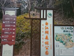 -广州白江湖森林公园