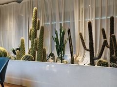 -悦海·家宴·冰花皮皮虾大锅贴(宝龙店)