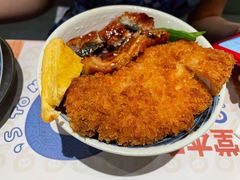 黄金双拼套餐（严选鳗鱼、猪排）-堂本家洋食别馆·炸猪排(中心城店)
