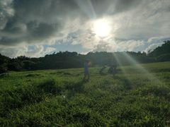-鹅銮鼻公园