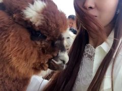 -新疆天山野生动物园