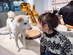 -柴务处·柴犬主题狗咖