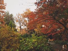 -三鹰之森吉卜力美术馆