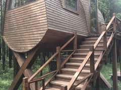 -黄海国家森林公园