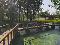 -东郊湿地公园