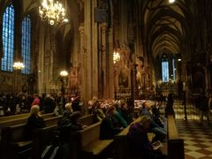 -斯蒂芬主教座堂(Stephansdom)