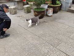 -江南第一家
