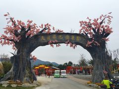 -天适樱花悠乐园