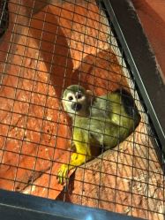 -Zoolung Zoolung动物主题公园(海信广场店)