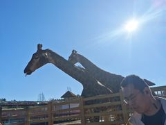 -鄂尔多斯野生动物园