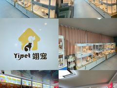 -翊宠yipet猫狗购宠庄园犬舍•猫舍