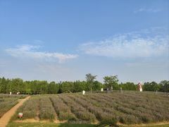 -同里国家湿地公园