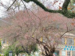 -广东温泉宾馆