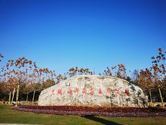 -上海海湾国家森林公园