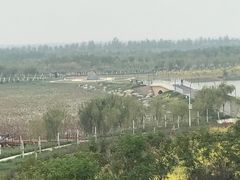 -天津东丽湖风景区