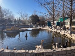 -北京市海淀外国语实验学校