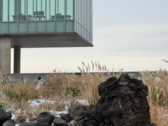 -涉地可支