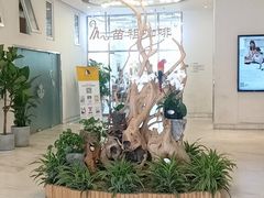 -苗祖咖啡(洛克时代中心店)