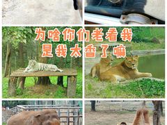 -西安秦岭野生动物园