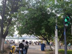 -天鹅湖体育公园