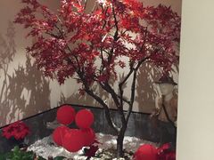 -汤泉良子.足疗按摩.SPA(中关村店)