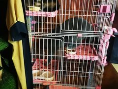 -千古迷阵密室逃脱·剧本推理(成都旗舰店)