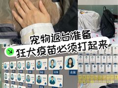 -申普宠物医院·心脏介入·心血管微创(总院)