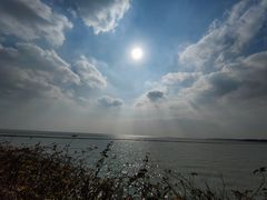 -贡湖湾湿地公园
