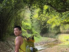 -槟城植物园