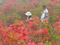 -瑞安圣井山景区