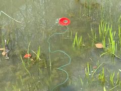 -上海浦江郊野公园-5号停车场