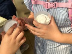 -洪馨椰子