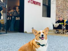 -J Create城市露营咖啡·简餐·宠物(上海动物园店)