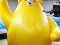 -自如ZSPACE四合院艺术餐厅