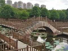 -五缘湾湿地公园