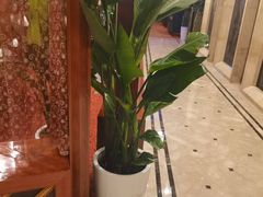 -花湖会所·高端水疗商务泡浴SPA(高新店)