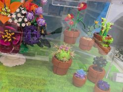 -乐高授权专卖店(中关村领展店)