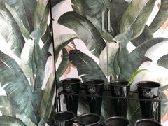 -So Acai(天河店)