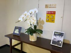 -明湖楼·经典鲁菜(大明湖店)