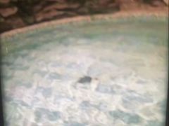 -东方之珠洗浴休闲广场(南开店)