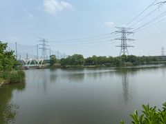 -九里河湿地公园