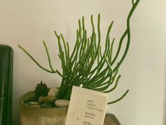 -知亘茶食