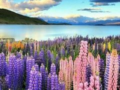 -金达莱烧烤(黎明南街店)