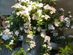 -火龙堂·风味民间菜(文一路店)