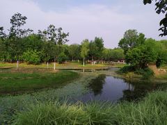 -东郊湿地公园