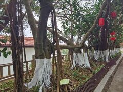-湄洲岛