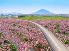 -桃花岛景观公园