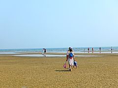 -海滨浴场